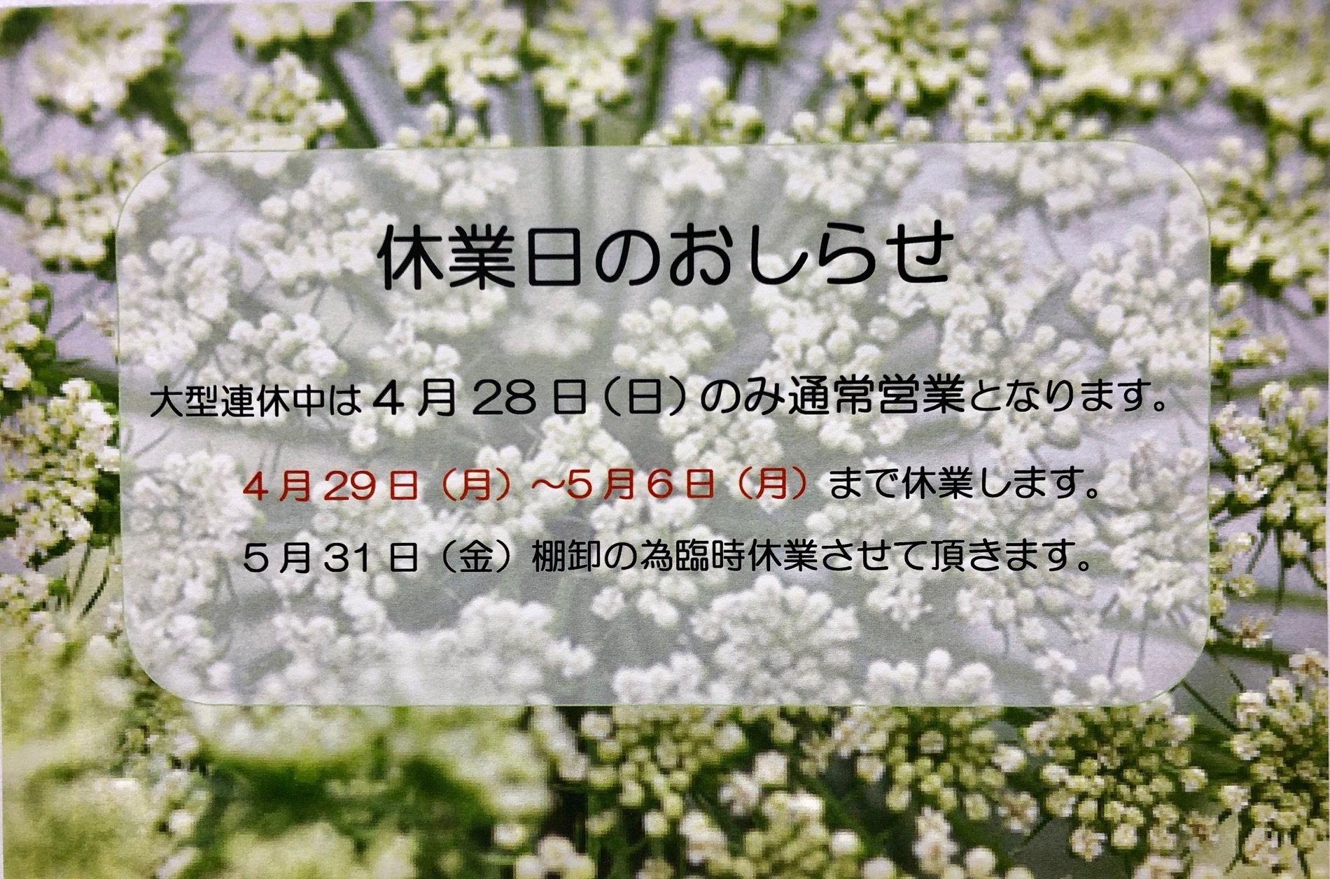 image1.jpeg